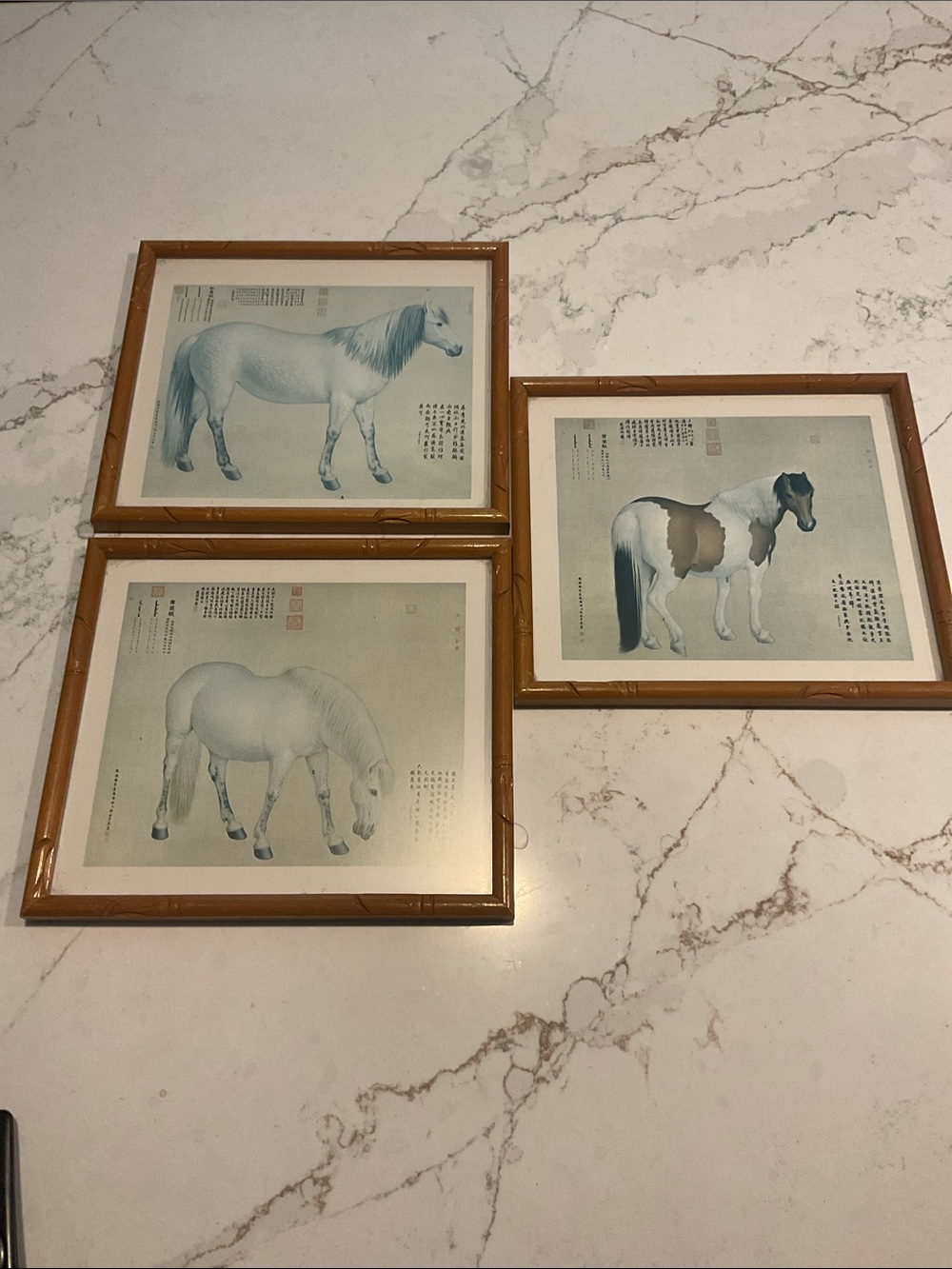 Vintage Chinese Horse Art Prints Afghan Steeds Wood framed set of 3